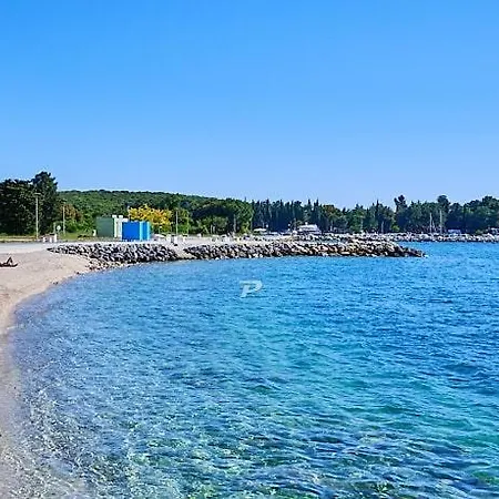 Violeta * Πούλα
